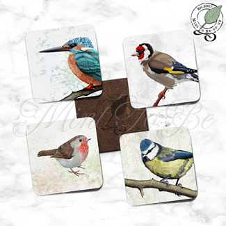 British Birds (close-up) - Set of 4 Coasters