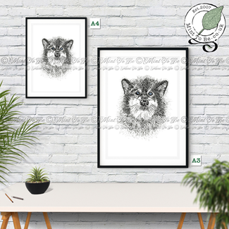 Alaskan Malamute Fine Art Print