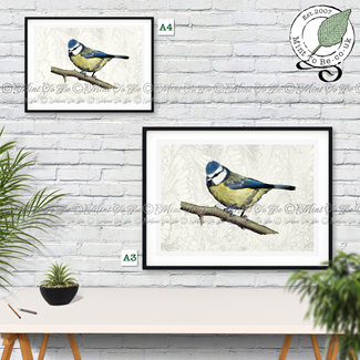 Blue Tit "Tufty" Fine Art Print