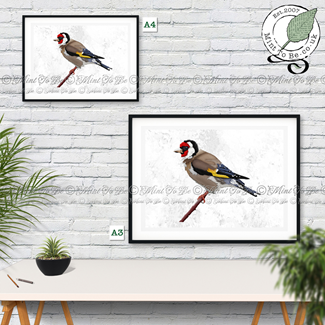 Goldfinch Fine Art Print