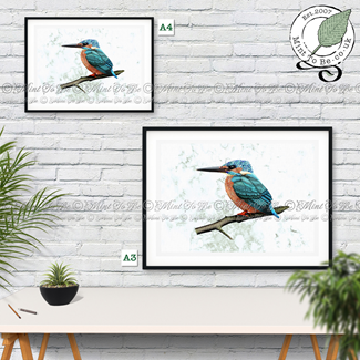Kingfisher Fine Art Print