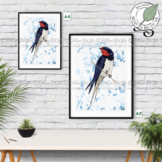 Swallow Fine Art Print