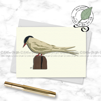 Arctic Tern Card