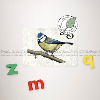 Blue Tit Magnet