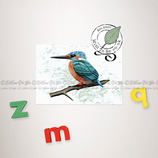 Kingfisher Magnet