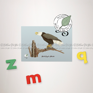 Bald Eagle Magnet