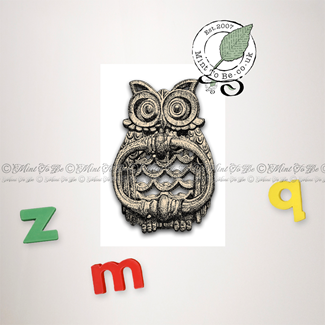 Owl Door Knocker Magnet