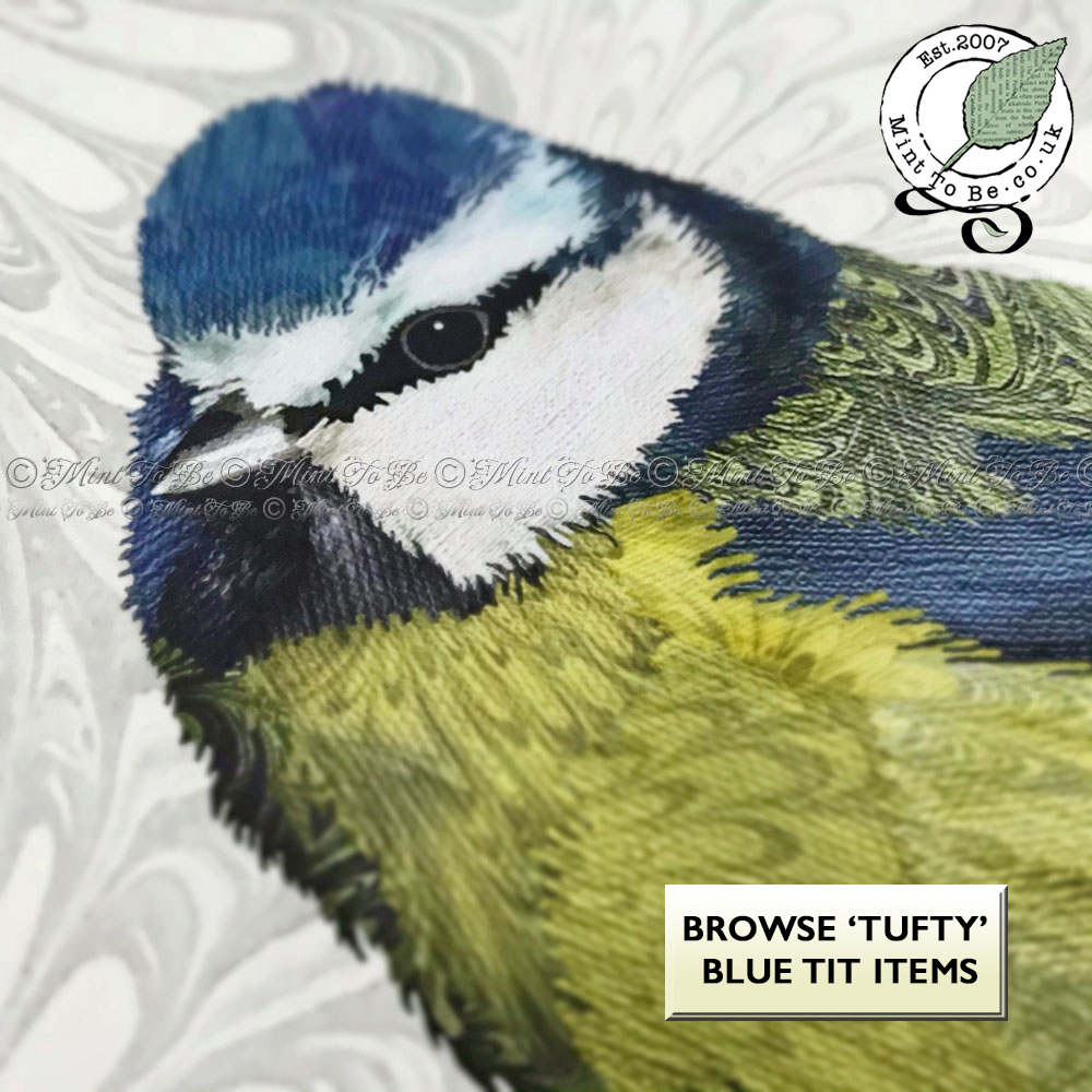Blue Tit