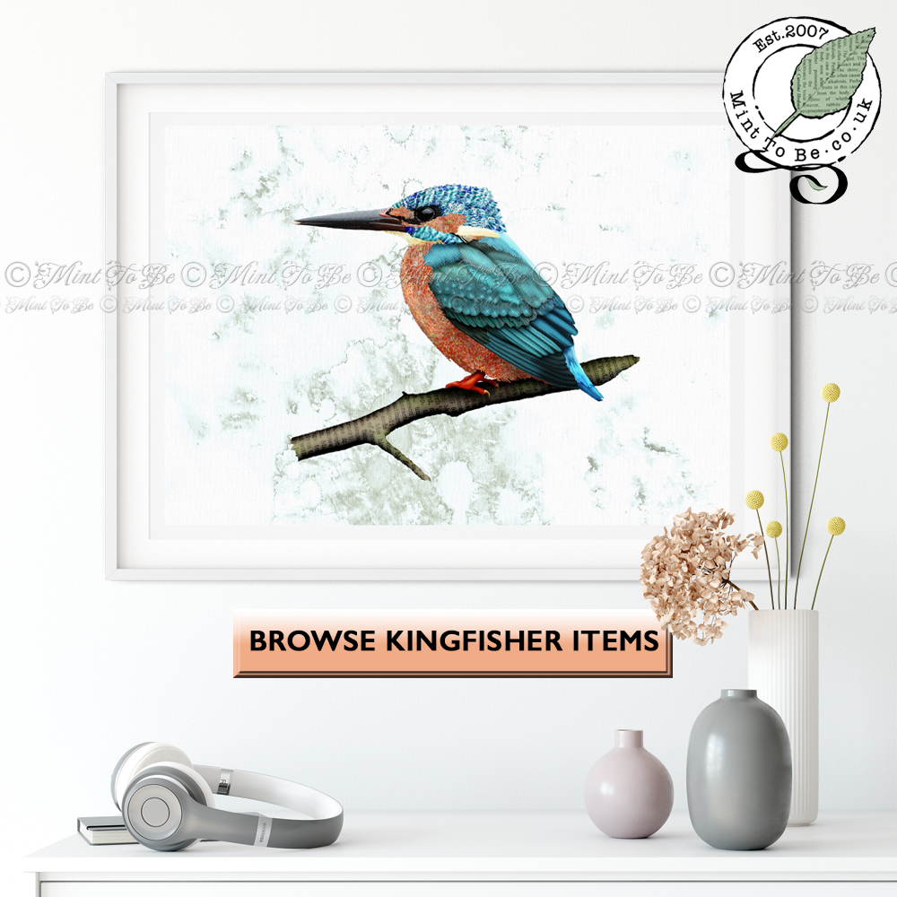 Browse Kingfisher items